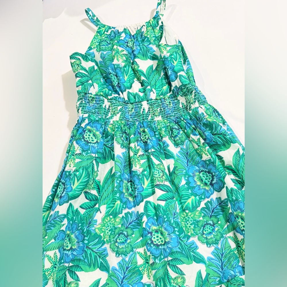 Janie and Jack Green and Blue Floral Dress